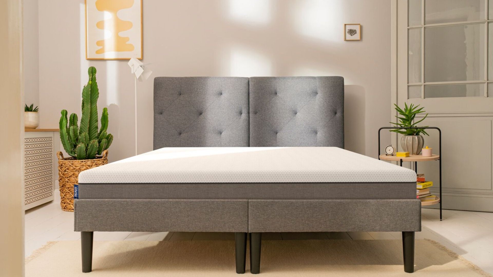 Camera moderna con letto grigio imbottito, cactus su cesta intrecciata, tavolino con libri e decorazioni, e pareti chiare