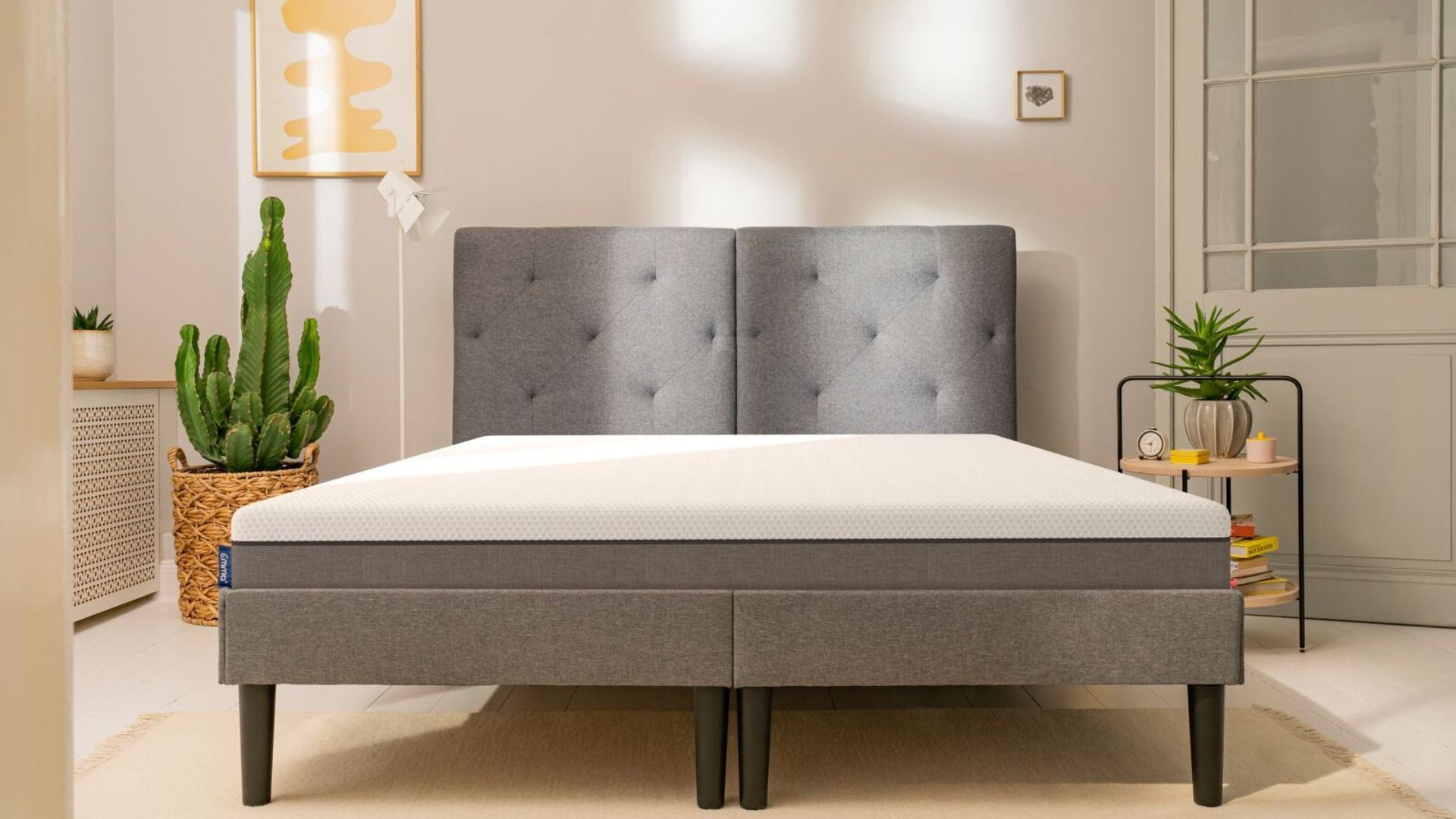 Camera moderna con letto grigio imbottito, cactus su cesta intrecciata, tavolino con libri e decorazioni, e pareti chiare