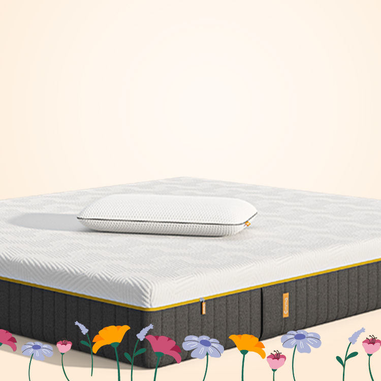 L'image montre une offre spéciale temporaire.