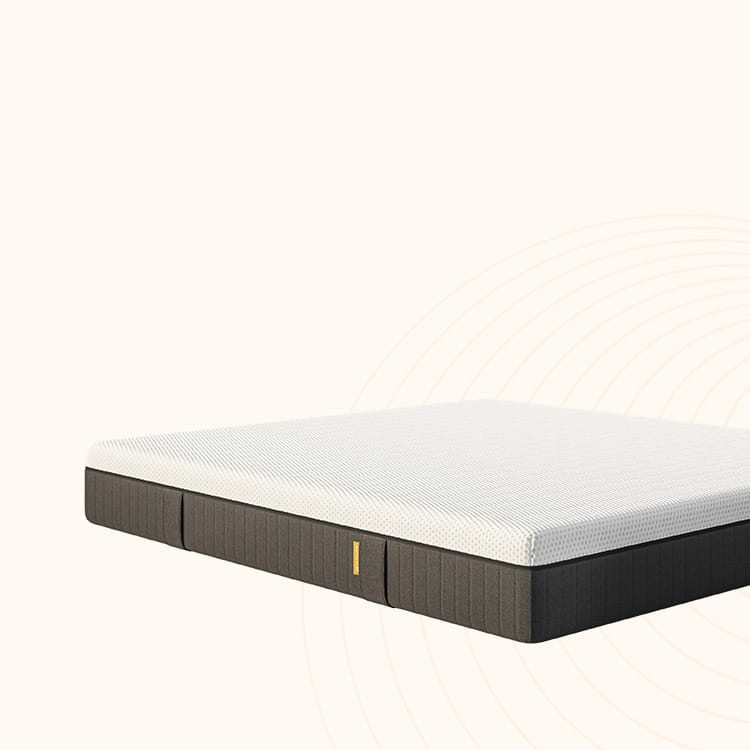 L'image montre une offre spéciale temporaire.