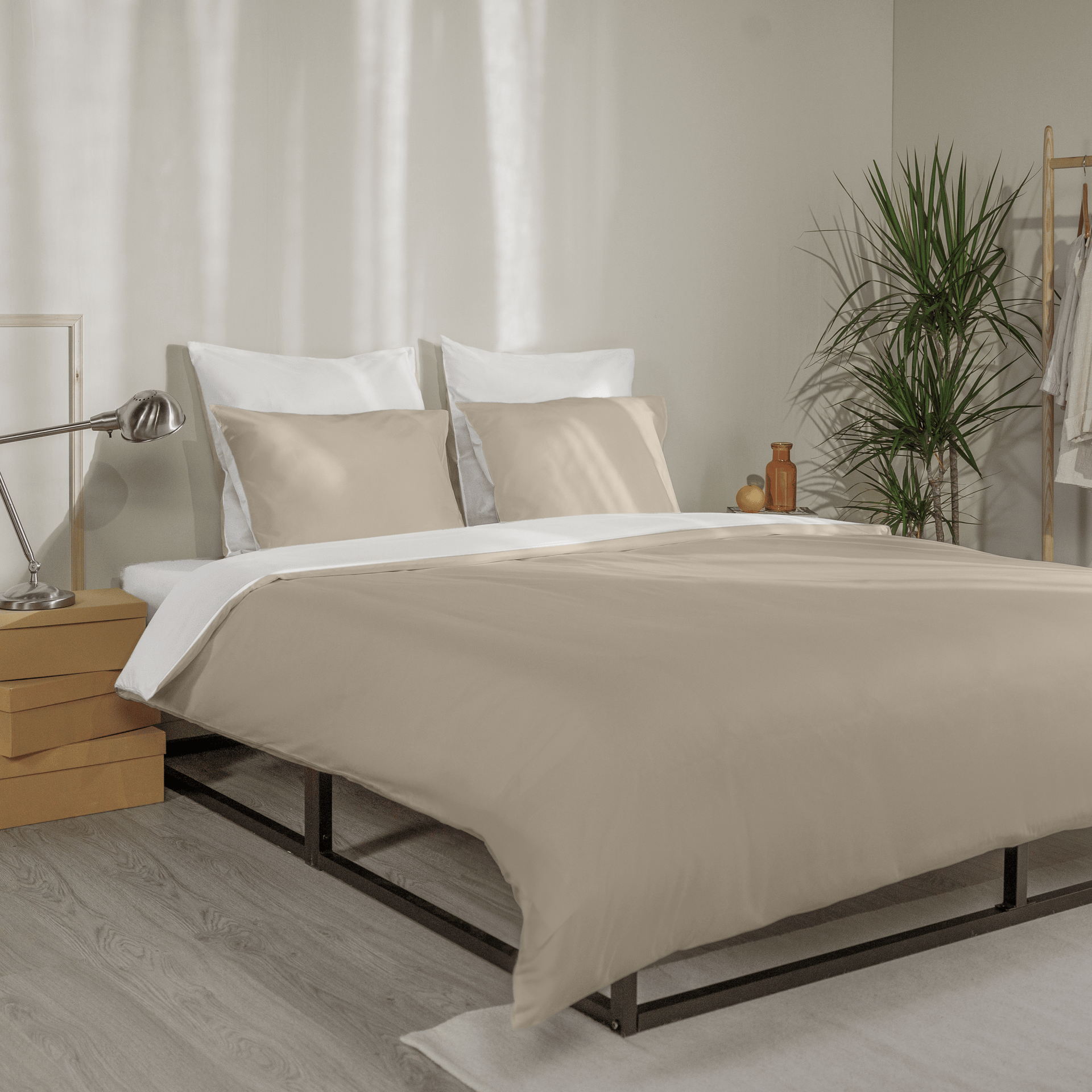 COTTON_BEIGE_WHITE_FRONTVIEW_V2.png