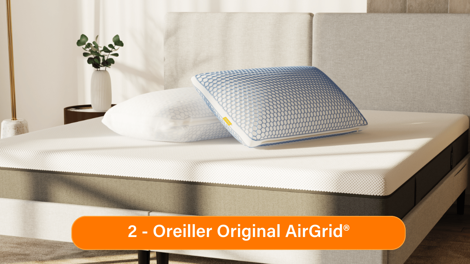 BEFR_Gel_Pillows.png