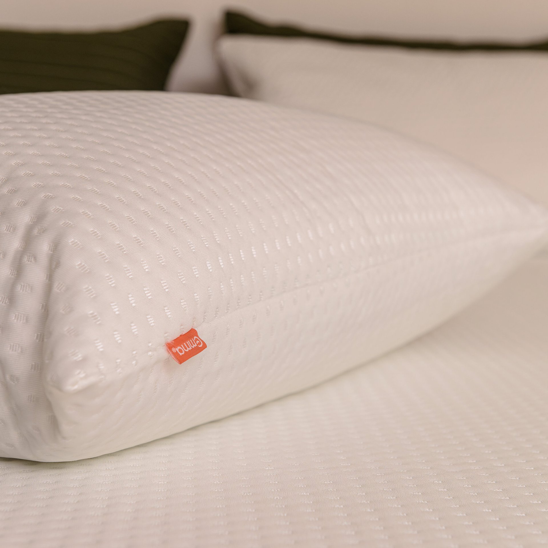 Pillow_Protector_Photoshoot_2024_(1).jpg