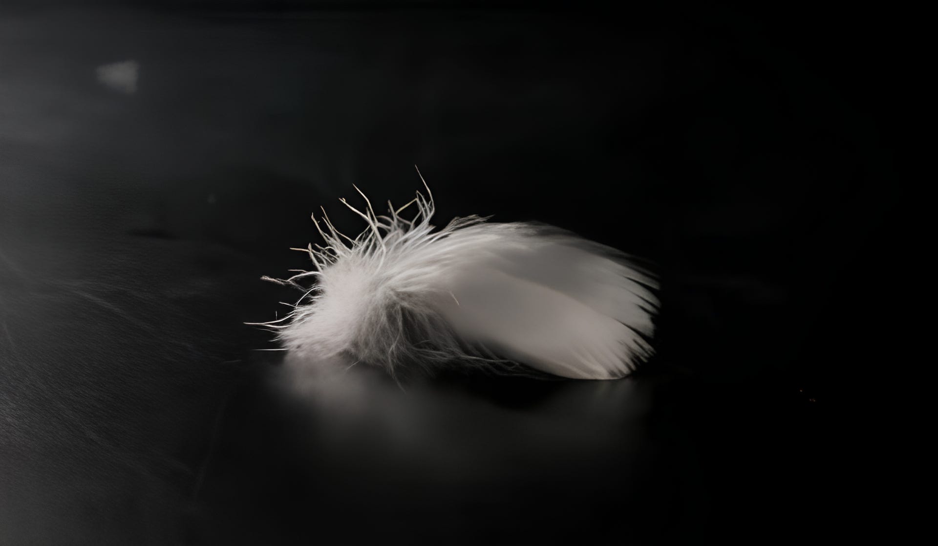 HK_Down_Pillow_B3new.png