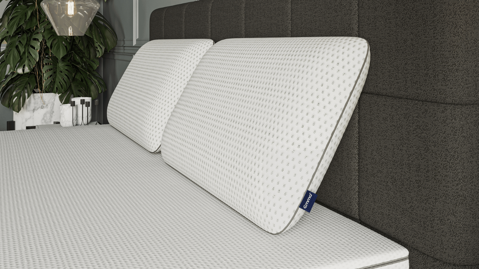 Combo DD Carrusel 2.png