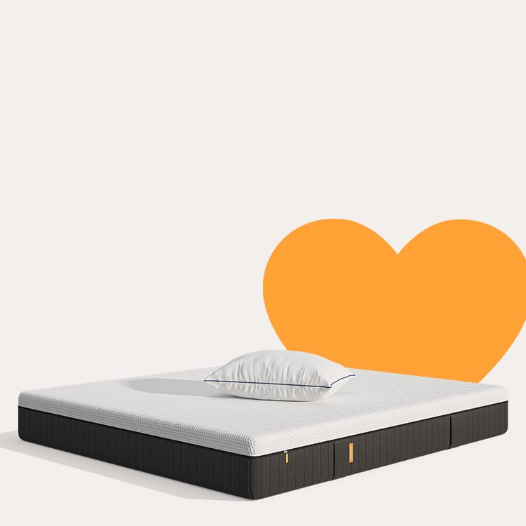 L'image montre une offre spéciale temporaire.