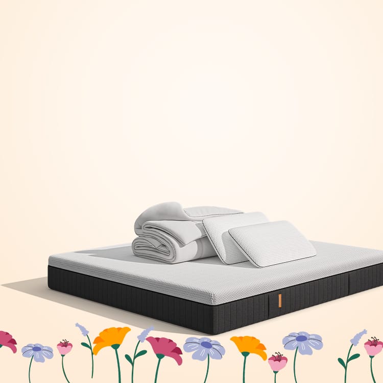 L'image montre une offre spéciale temporaire.