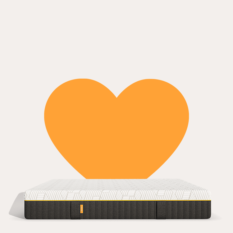 Afbeelding toont een tijdelijke speciale aanbieding