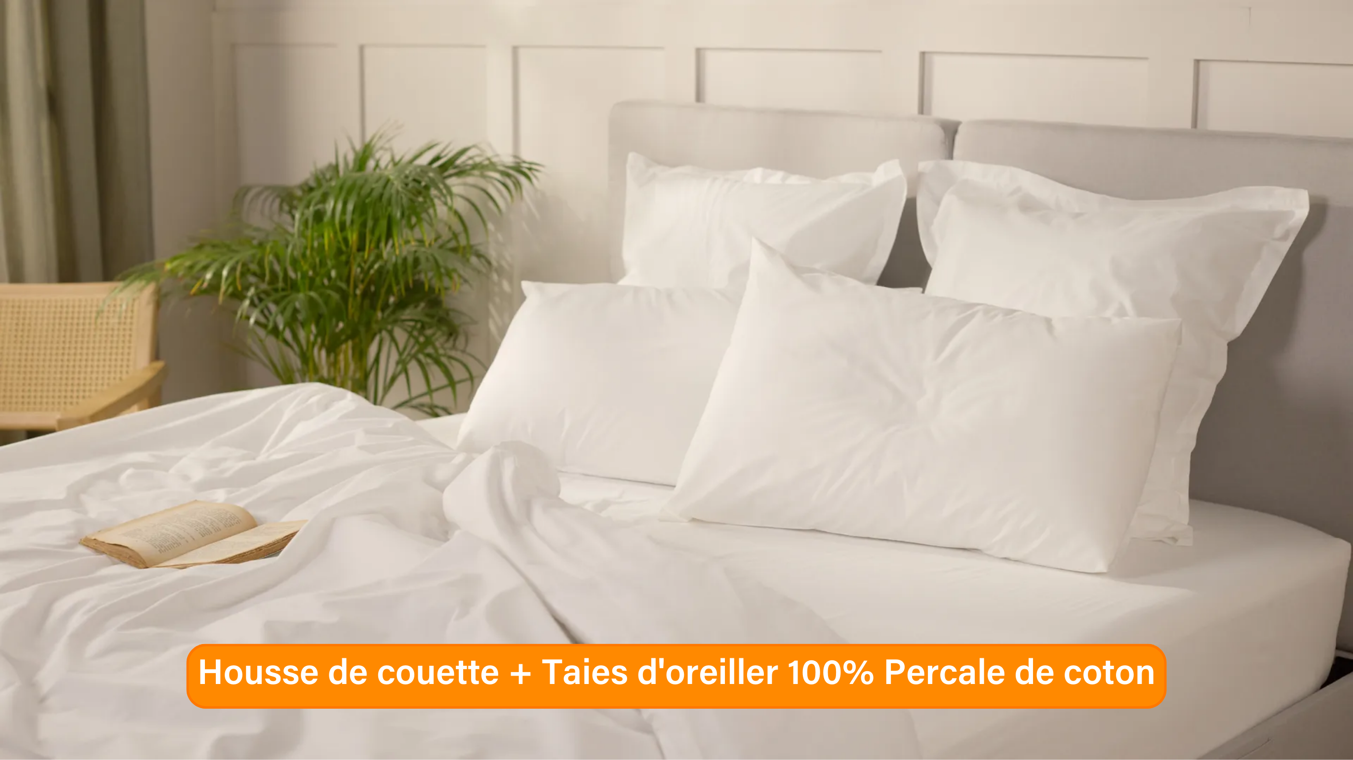 Ensemble exclusif Pré sales (2740 x 1540 px) (36).png