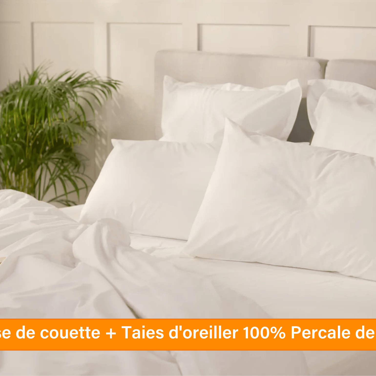 Ensemble exclusif Pré sales (2740 x 1540 px) (36).png