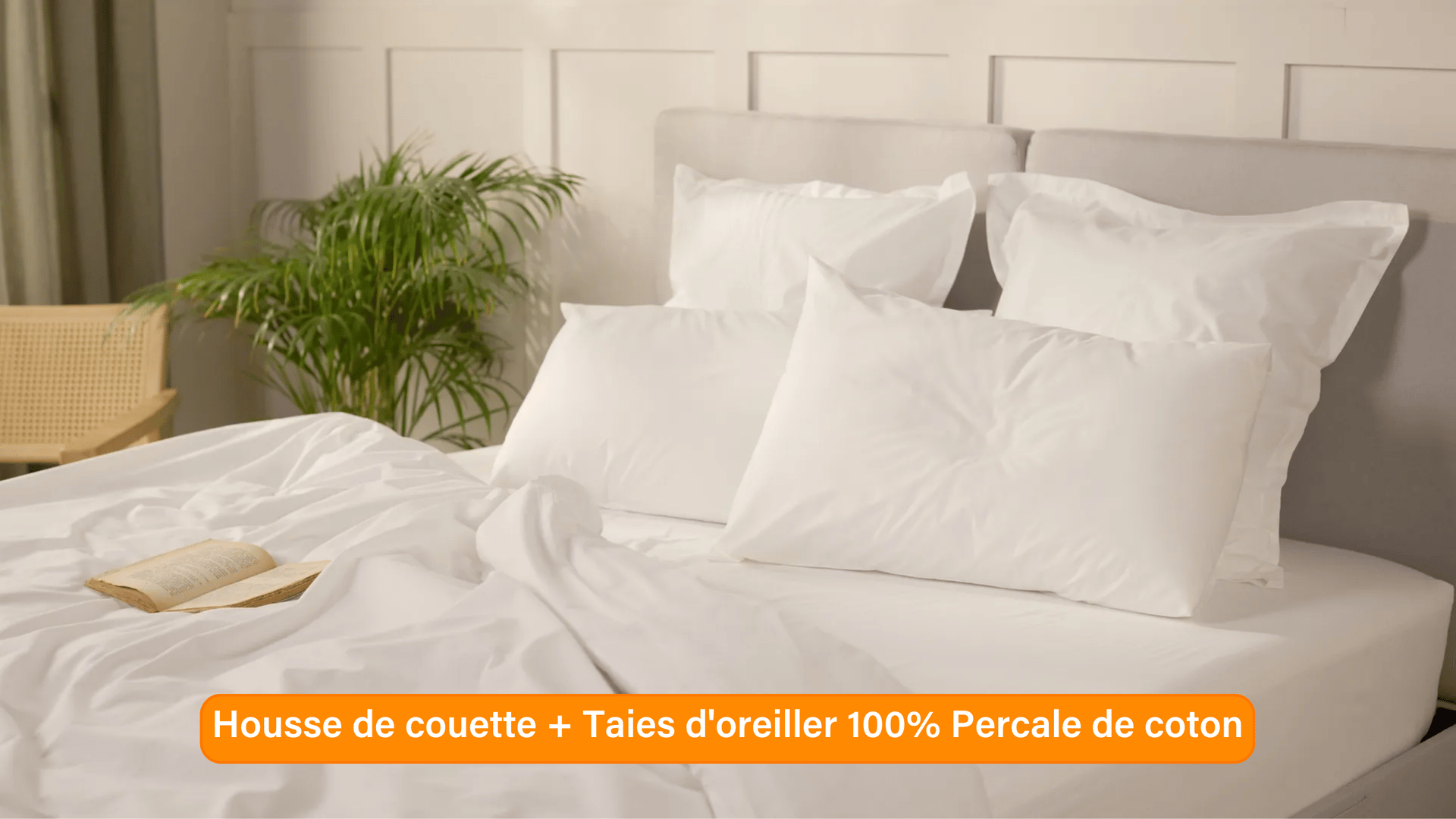 Ensemble exclusif Pré sales (2740 x 1540 px) (36).png