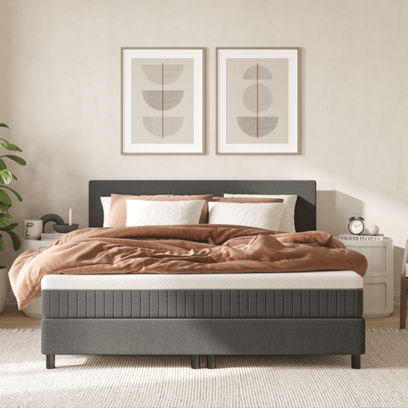 Une chambre à coucher moderne avec un cadre de lit gris foncé, des draps blancs et bruns, deux œuvres d'art abstraites au-dessus du lit, une table de nuit avec une horloge et une lampe, une plante en pot et une chaise dans le coin.