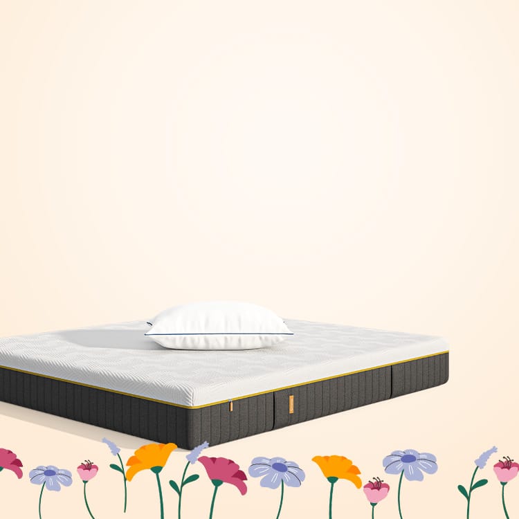 Afbeelding toont een tijdelijke speciale aanbieding