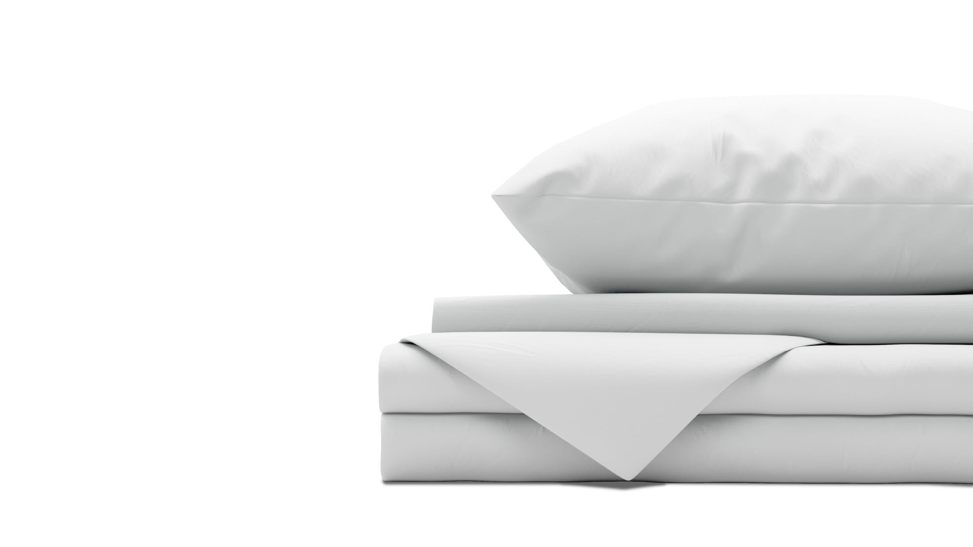 Large-301115_pillow_white.png