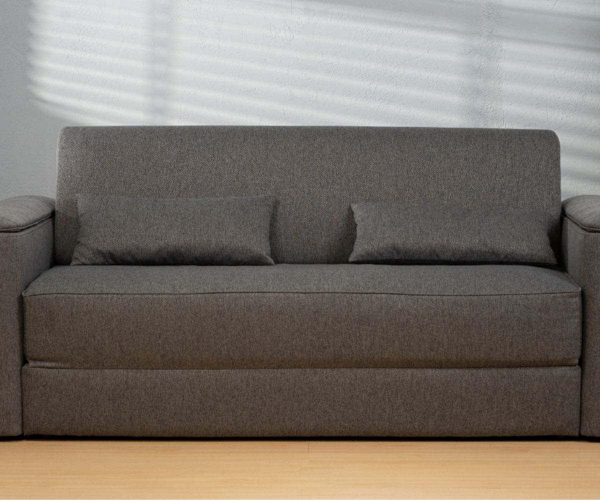 Best Sofa Bed For Back Pain Baci Living Room
