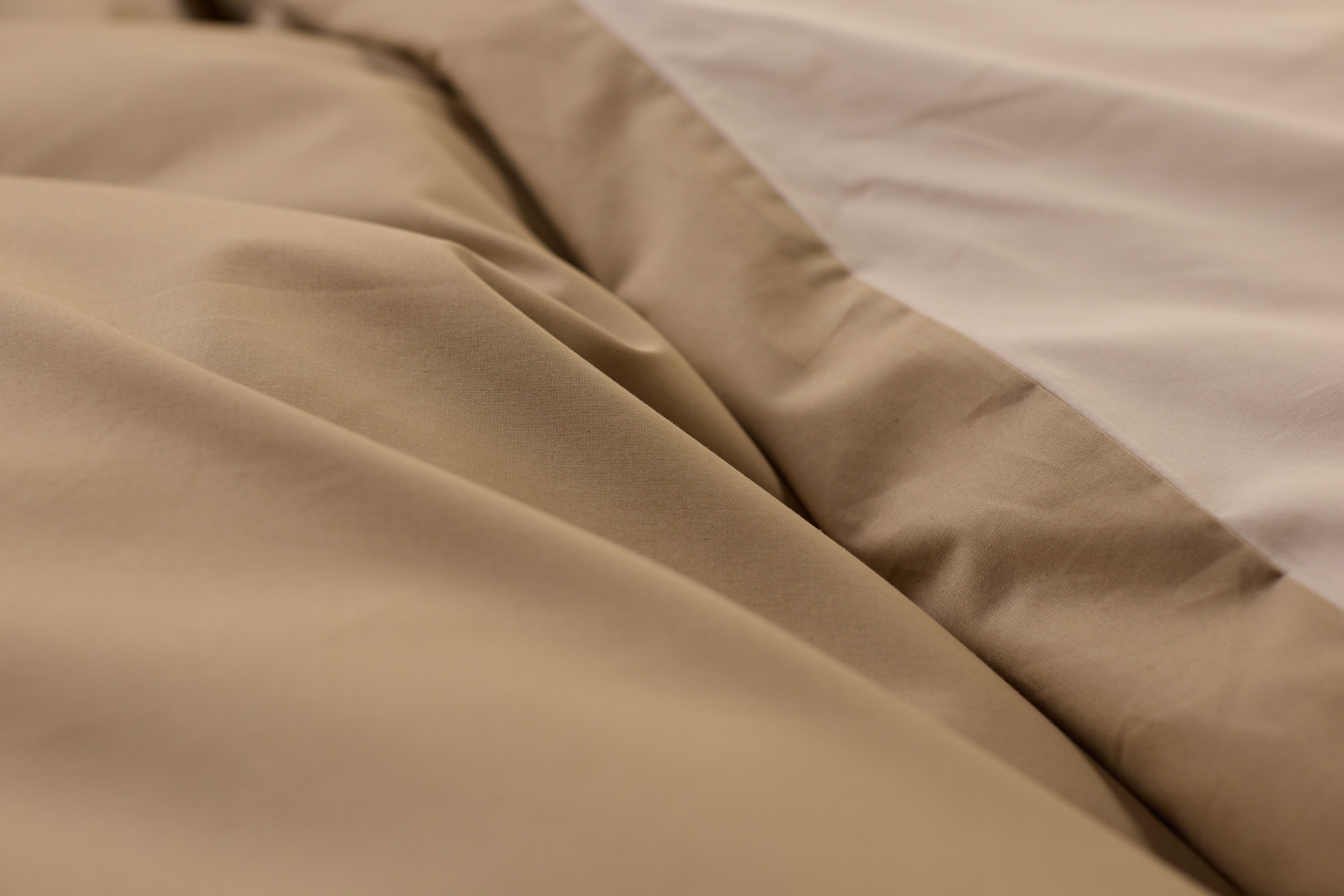 Cream_&_Beige_Percale_Gallery (7).jpg