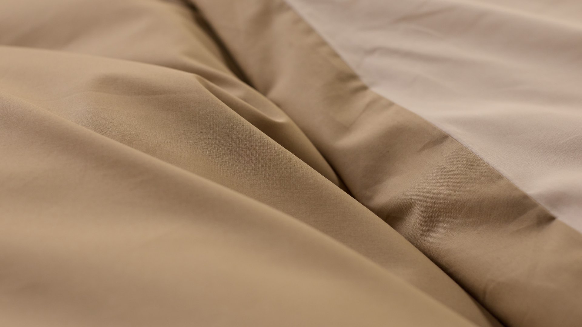 Cream_&_Beige_Percale_Gallery (7).jpg