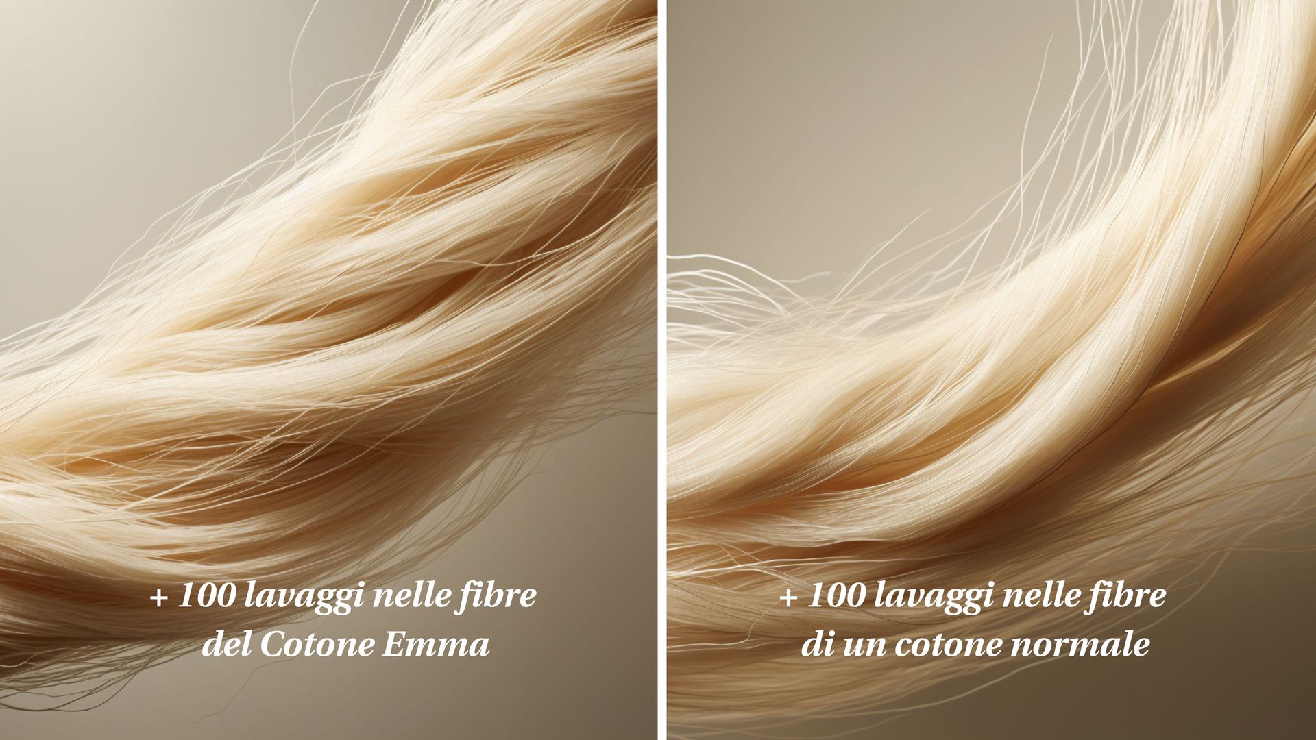 Confronto tra fibredopo 100 lavaggi: a sinistra cotone normale consumato, a destra fibra di cotone Emma intatta.