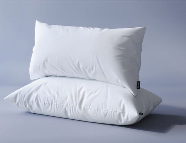 emma-chamber-microfiber-pillow.png