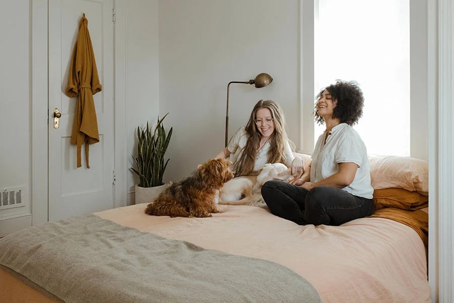 banquette-matelas-bz.webp