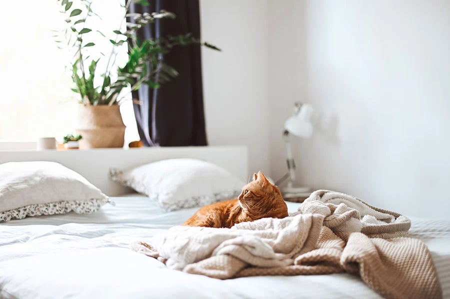 matelas-chauffant.webp