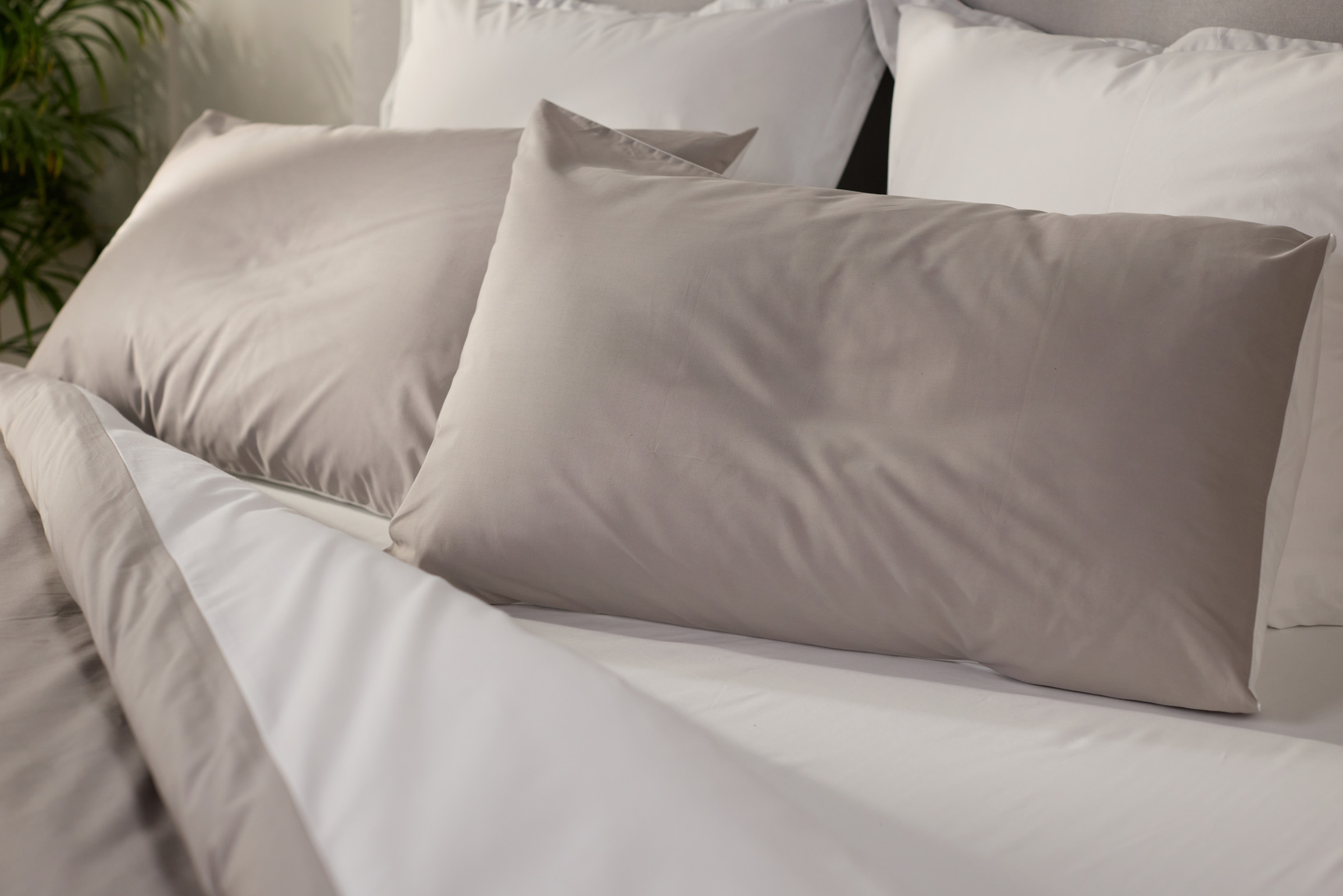 Kissen mit farbigem Kissenbezug