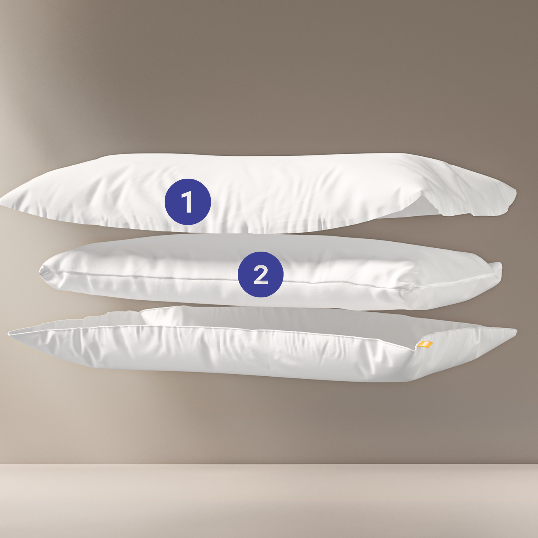 ES - Micro original layers labelled png