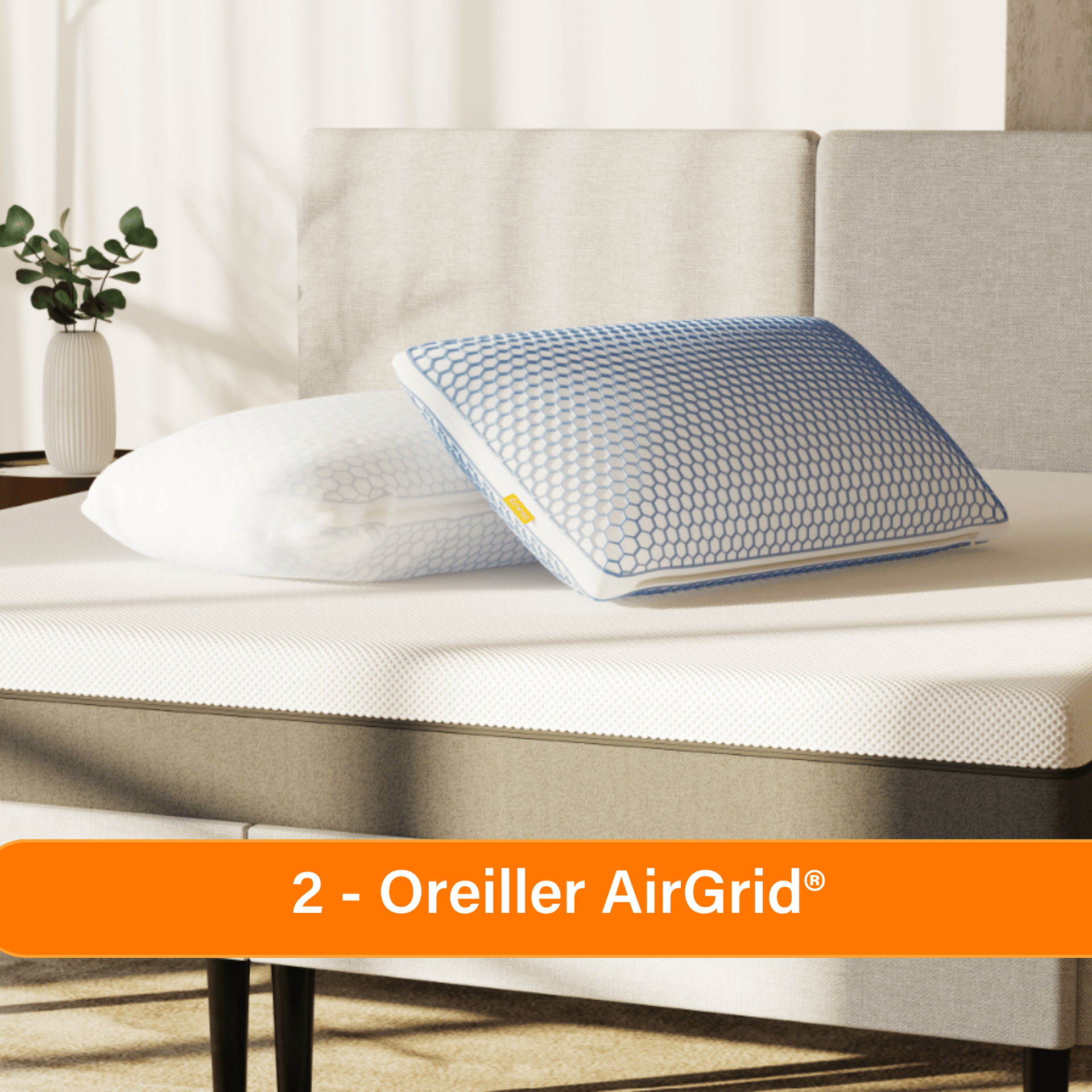 BEFR_Gel_Pillows.png