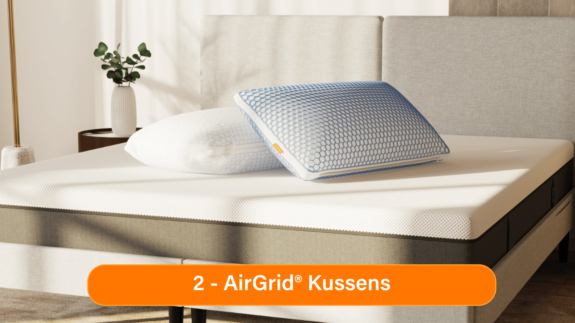 BENL_Gel_Pillows.png