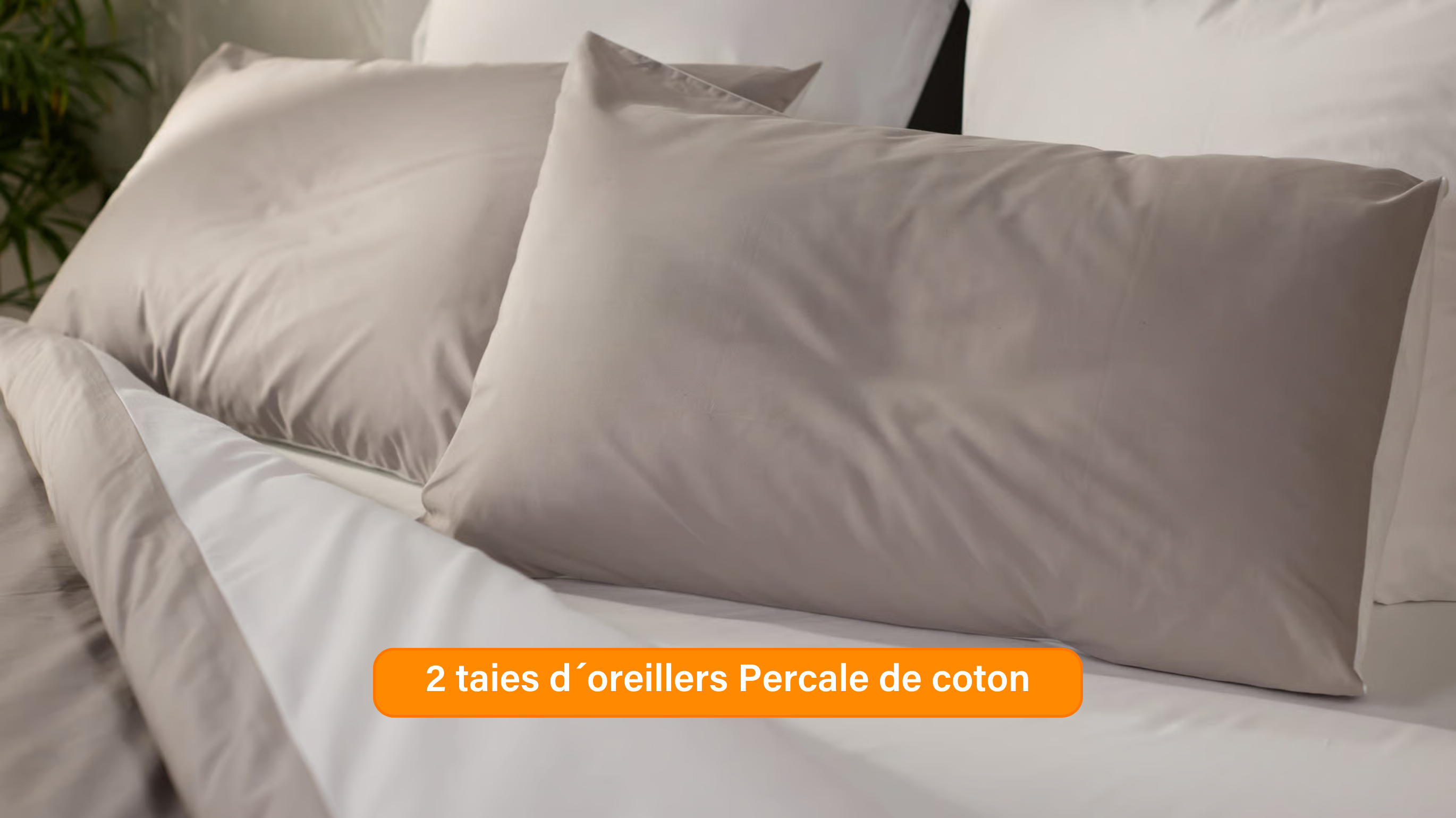 Ensemble exclusif Pré sales (2740 x 1540 px) (58).png