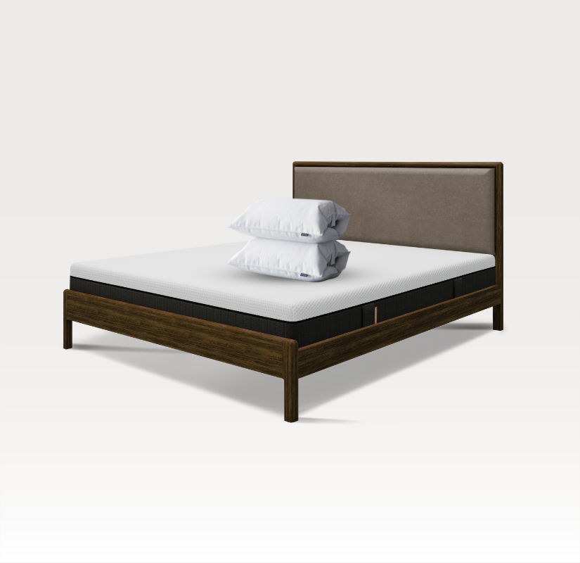 Best Bed Frames And Sofa Bed - Emma® Sleep Australia