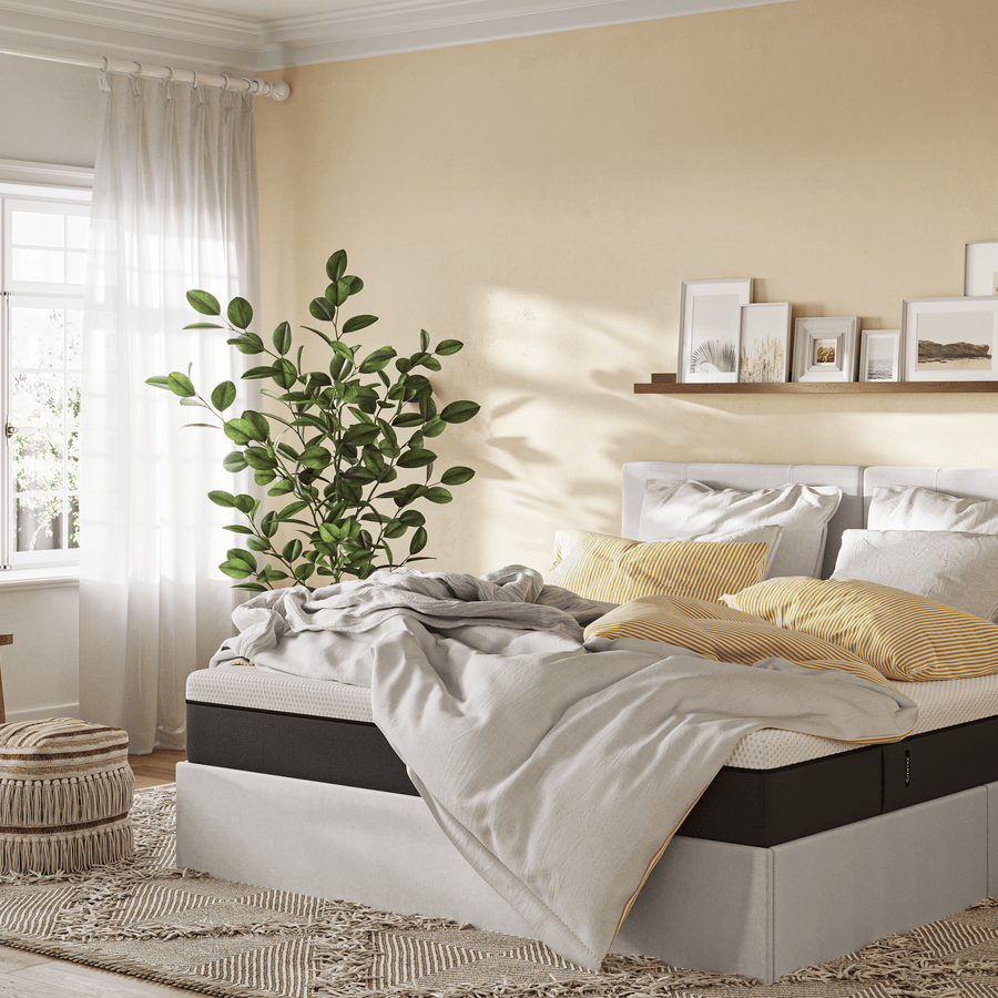 Medium-LS-5-Sawana-84-3.png