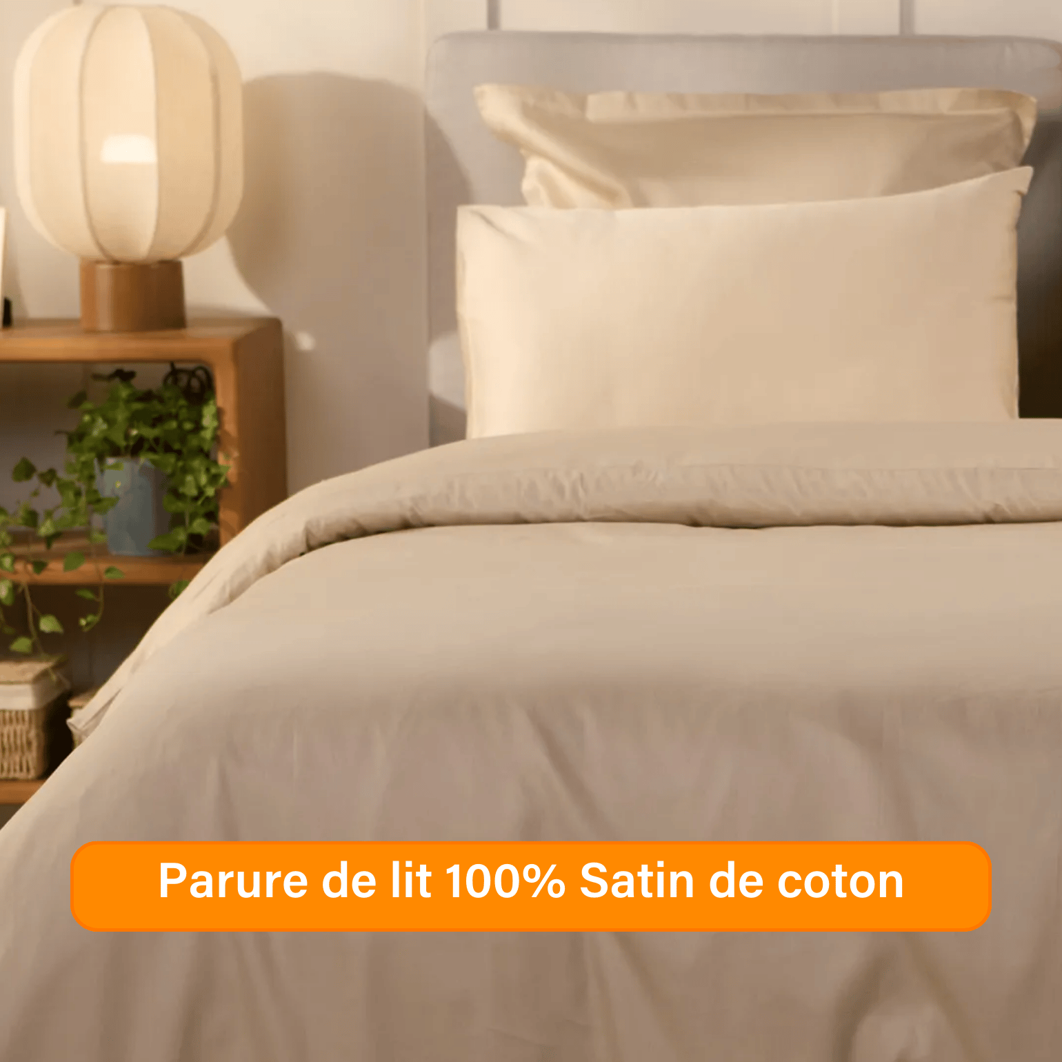 Ensemble exclusif Pré sales (2740 x 1540 px) (35).png