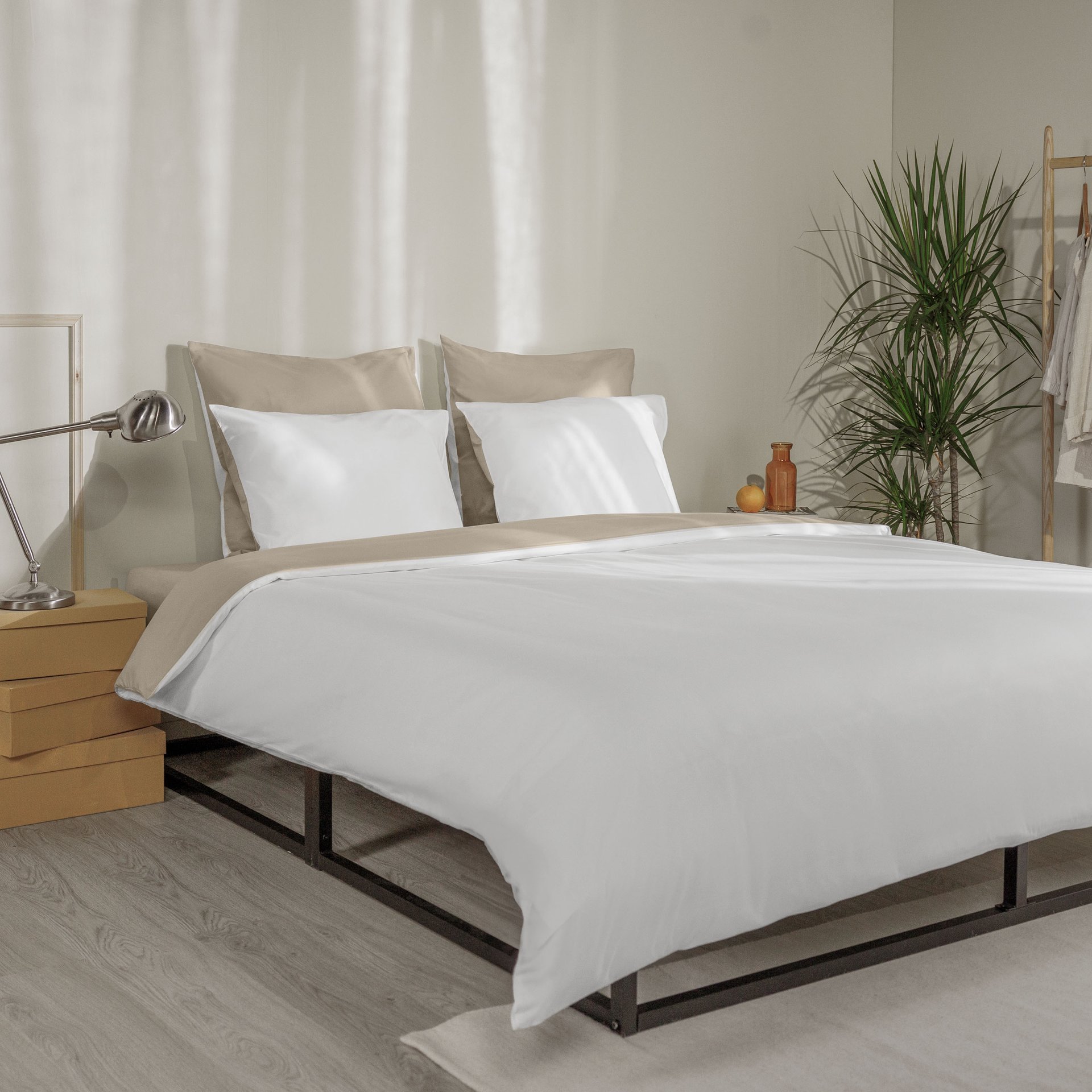 COTTON_WHITE_BEIGE_FRONTVIEW_v2.jpg
