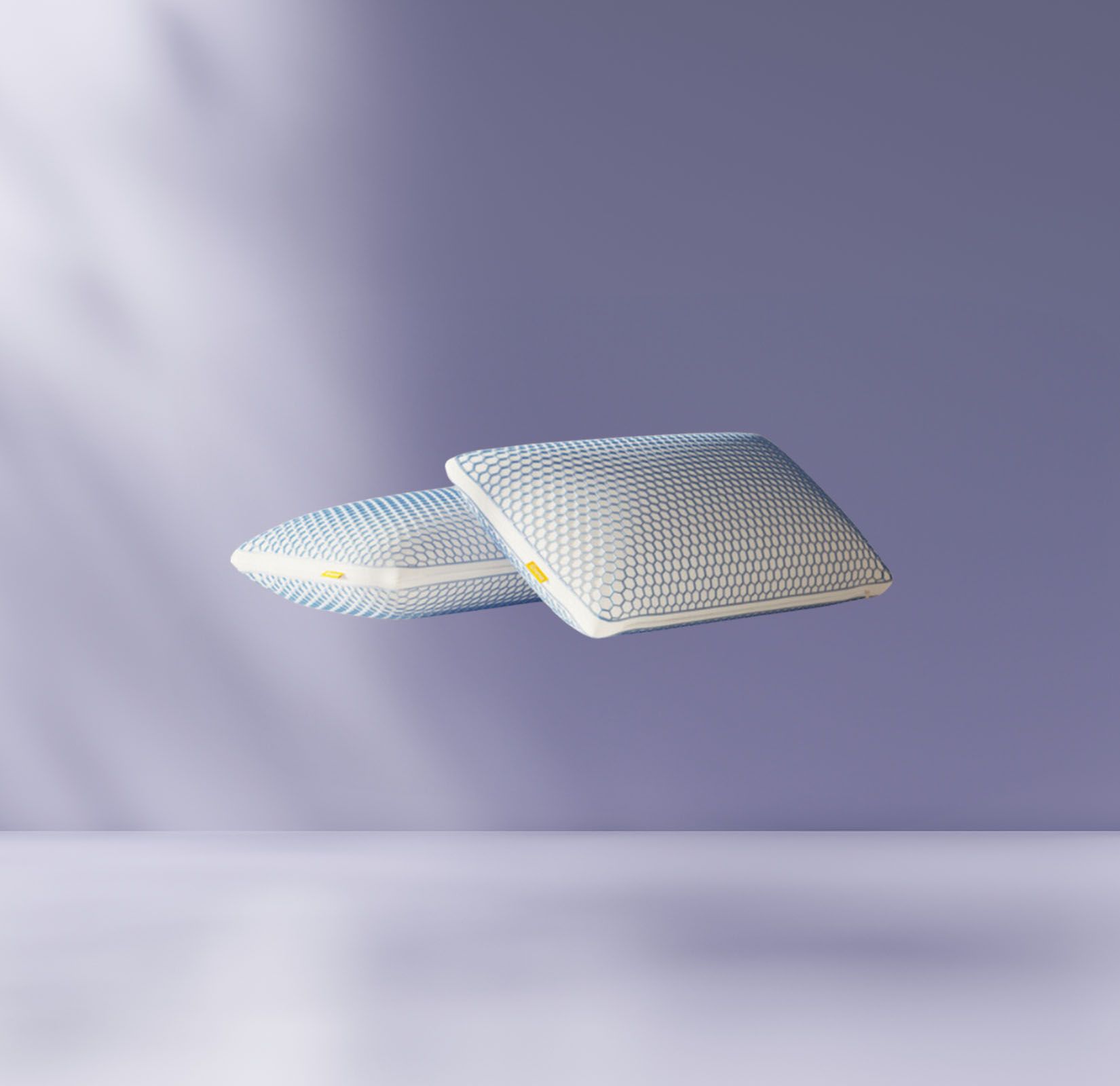 2 Original Airgrid® Kussens