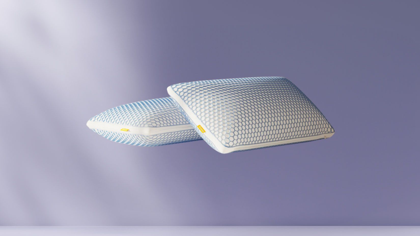 2 Original Airgrid® Kussens