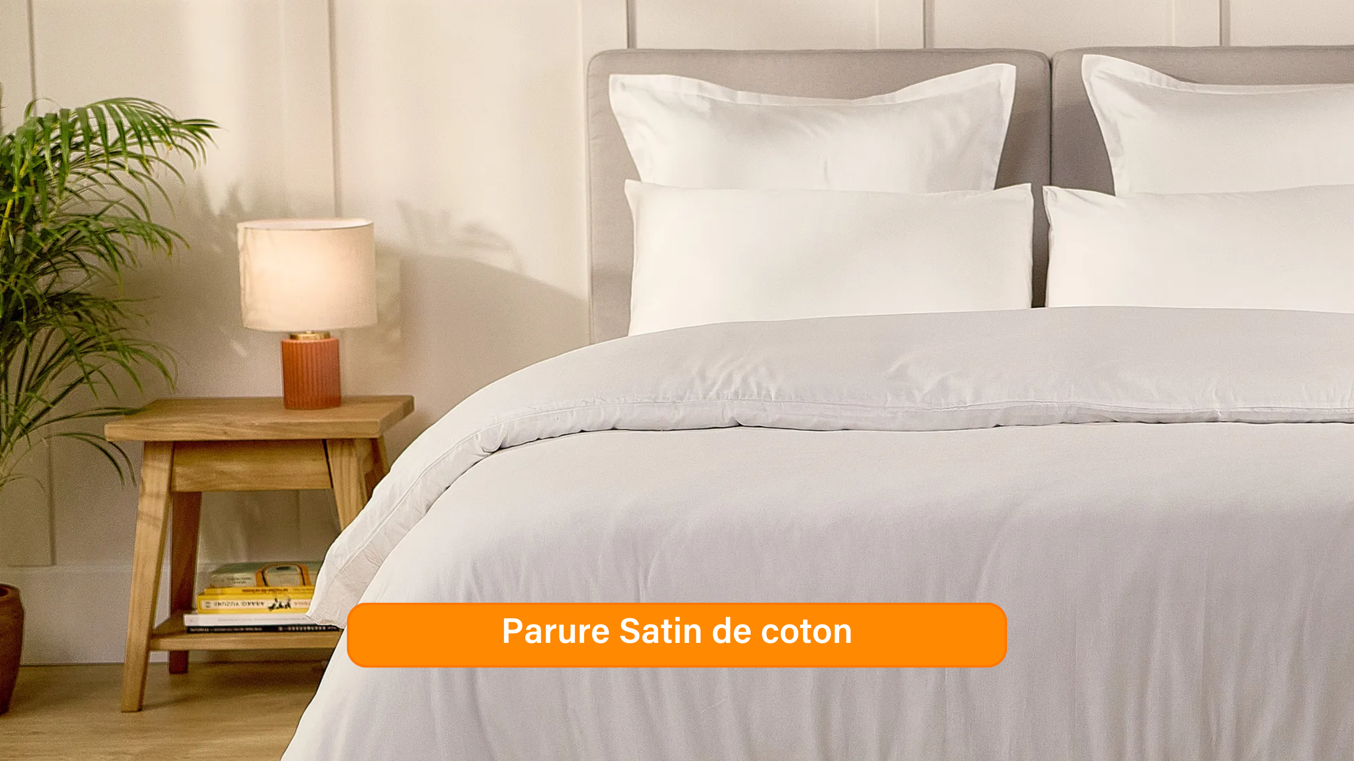 Ensemble exclusif Pré sales (2740 x 1540 px) (43).png