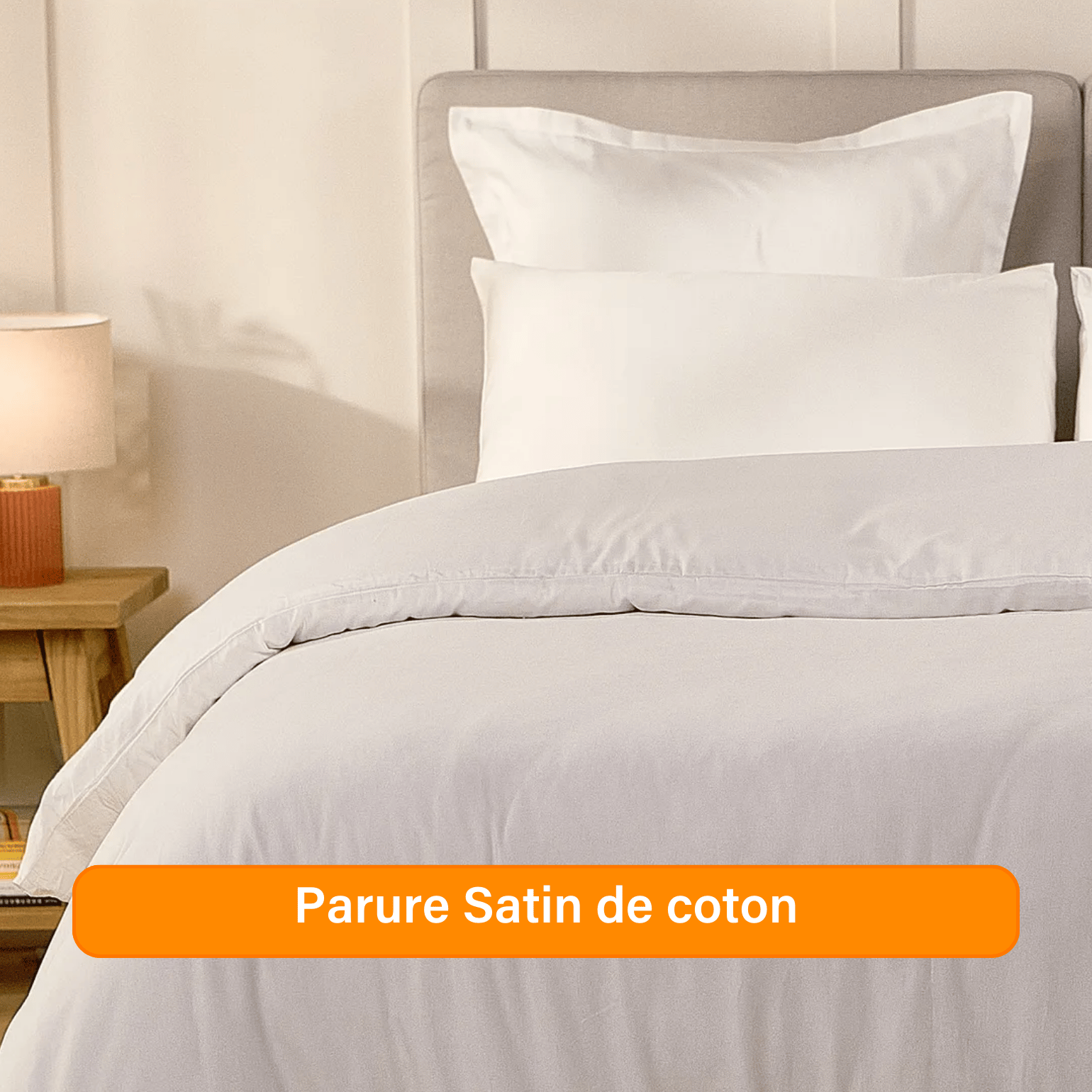 Ensemble exclusif Pré sales (2740 x 1540 px) (43).png