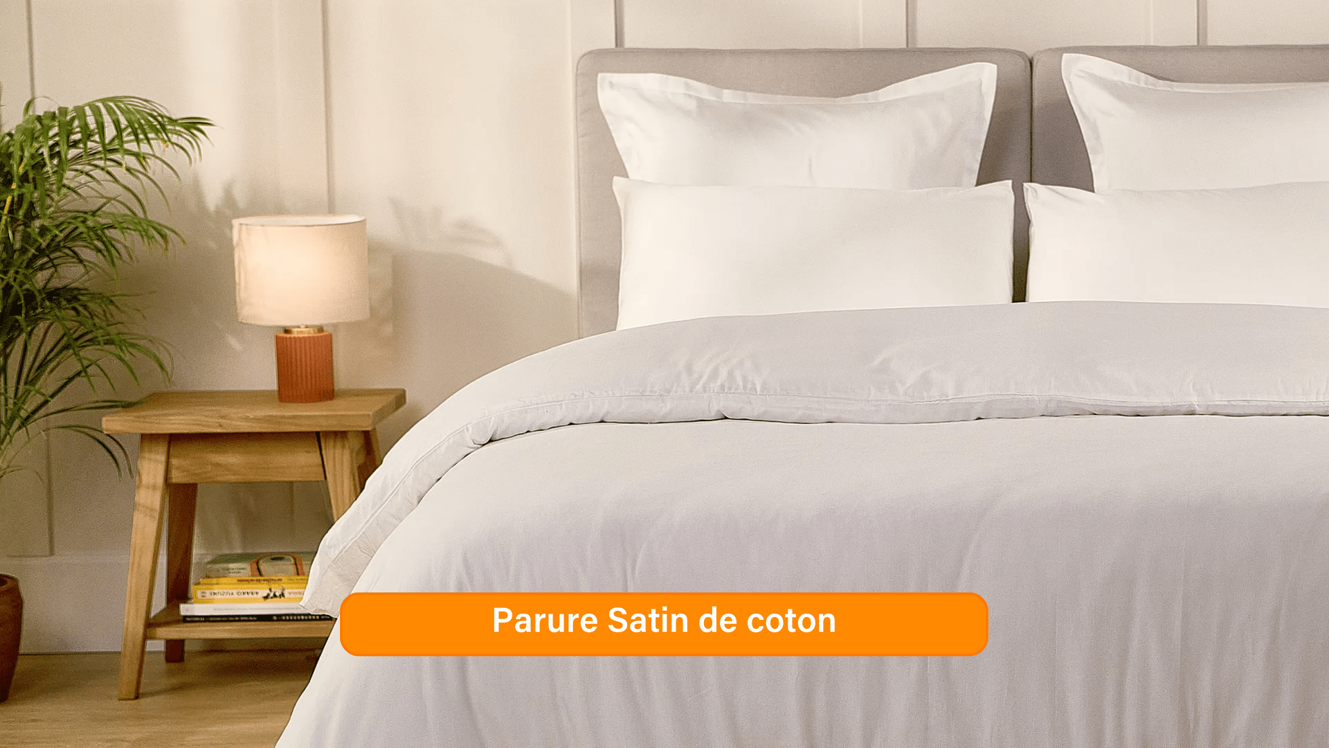 Ensemble exclusif Pré sales (2740 x 1540 px) (43).png