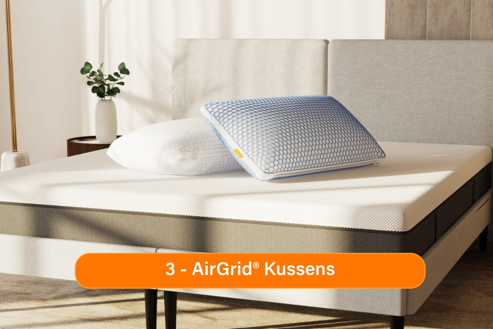 BENL_Gel_Pillows.png