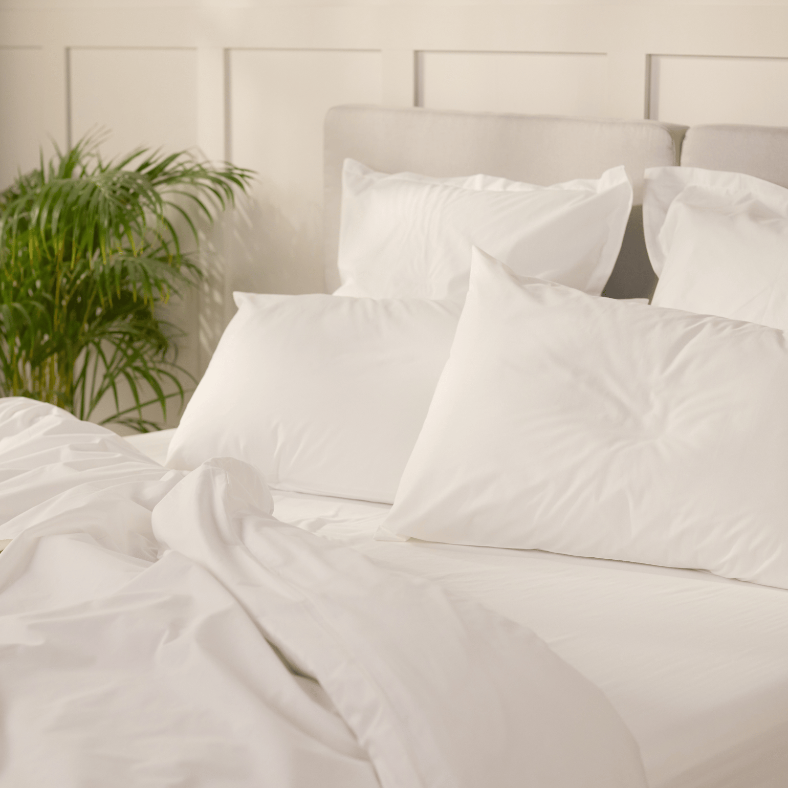 Percale_gallery (1).png