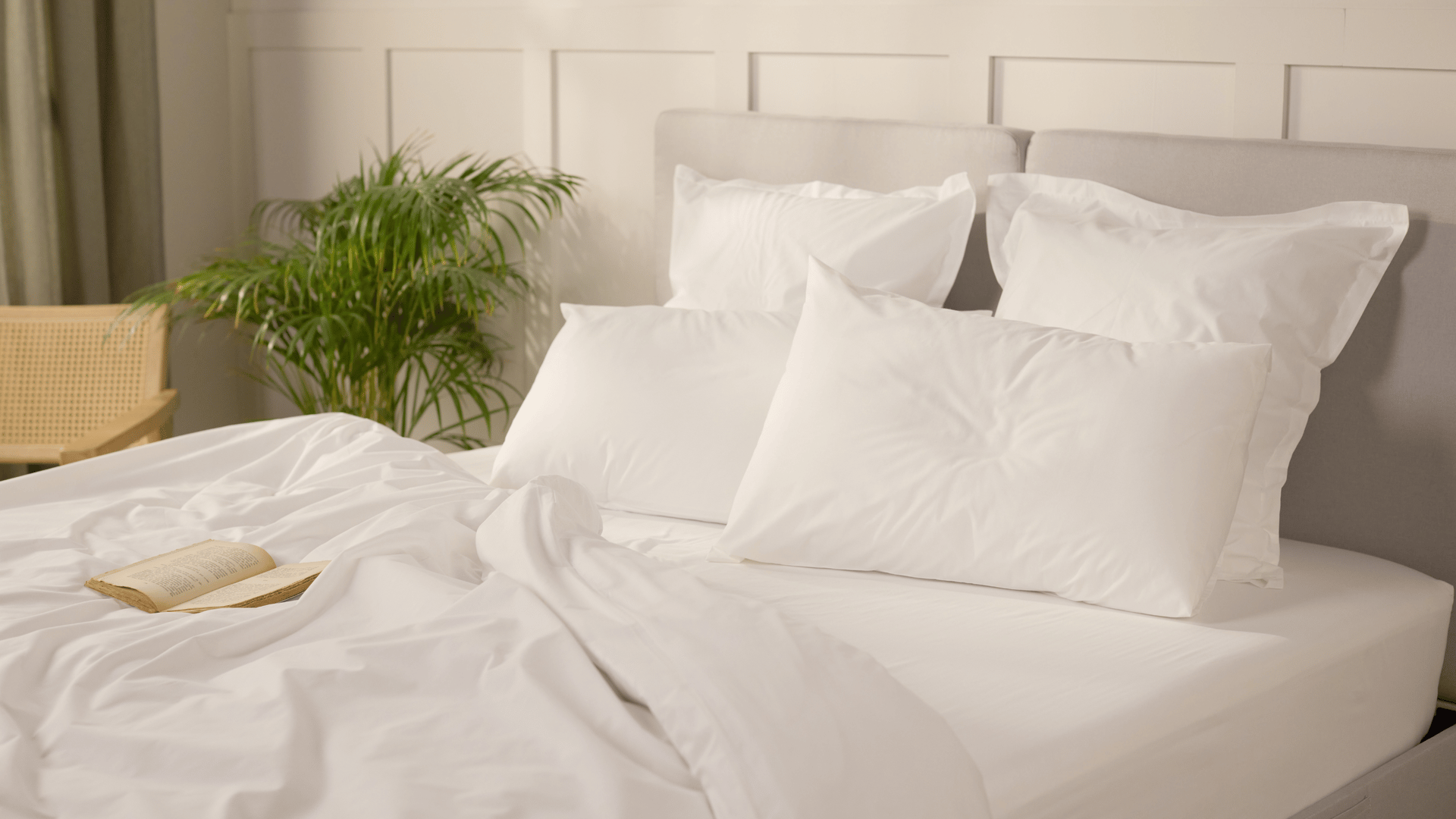 Percale_gallery (1).png