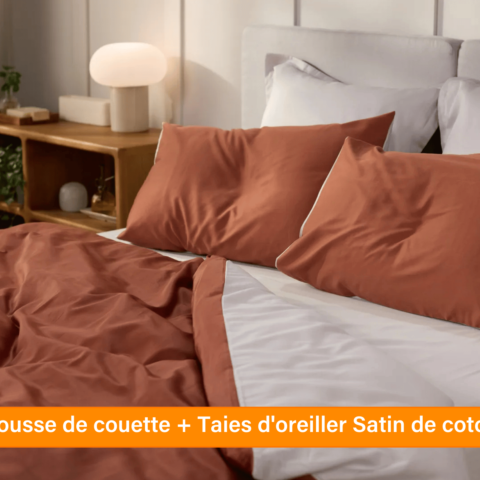 Ensemble exclusif Pré sales (2740 x 1540 px) (48).png