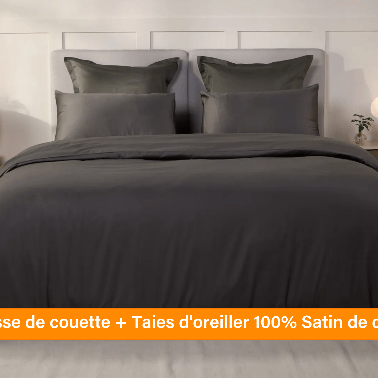Ensemble exclusif Pré sales (2740 x 1540 px) (60).png