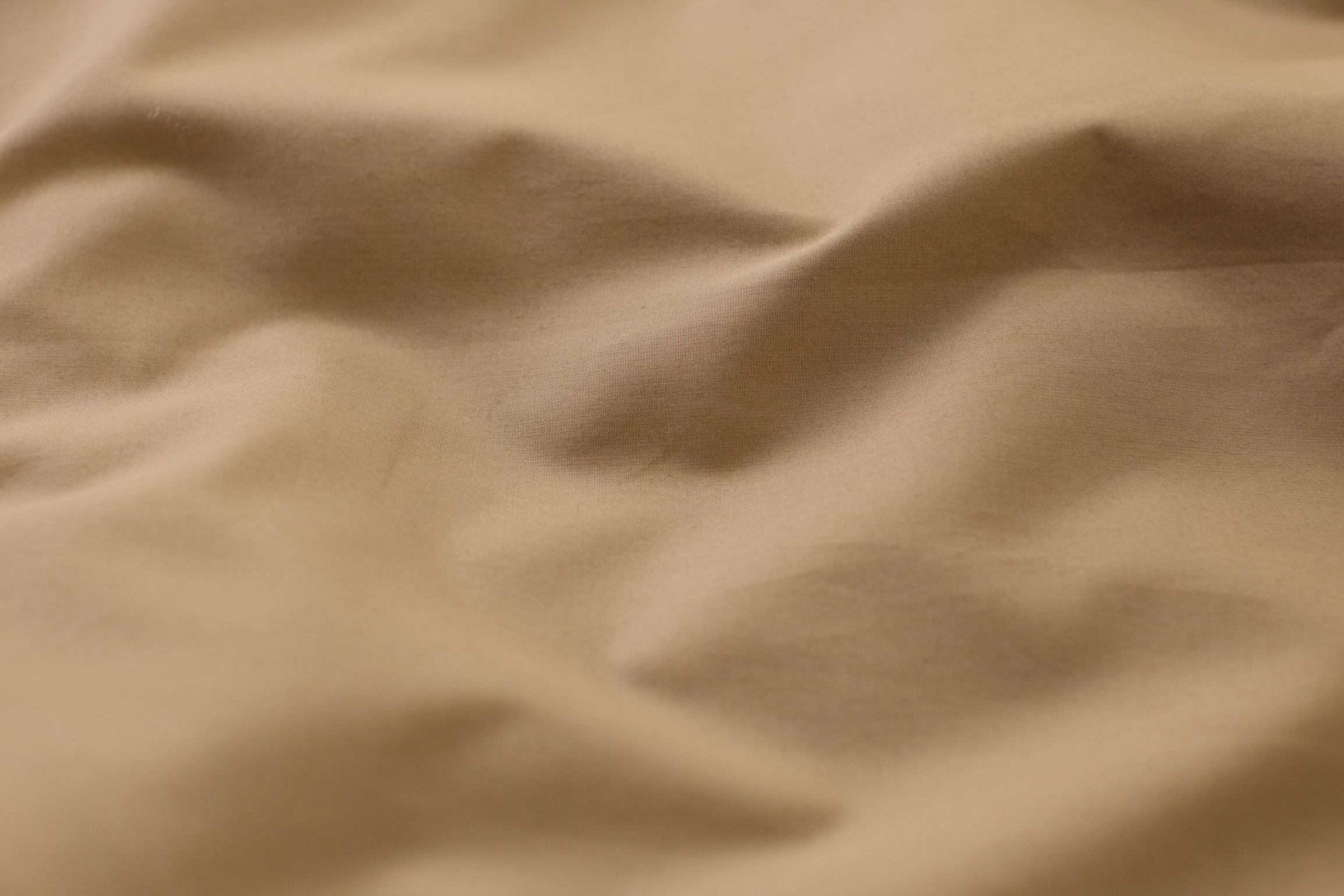 Cream_&_Beige_Percale_Gallery (8).jpg