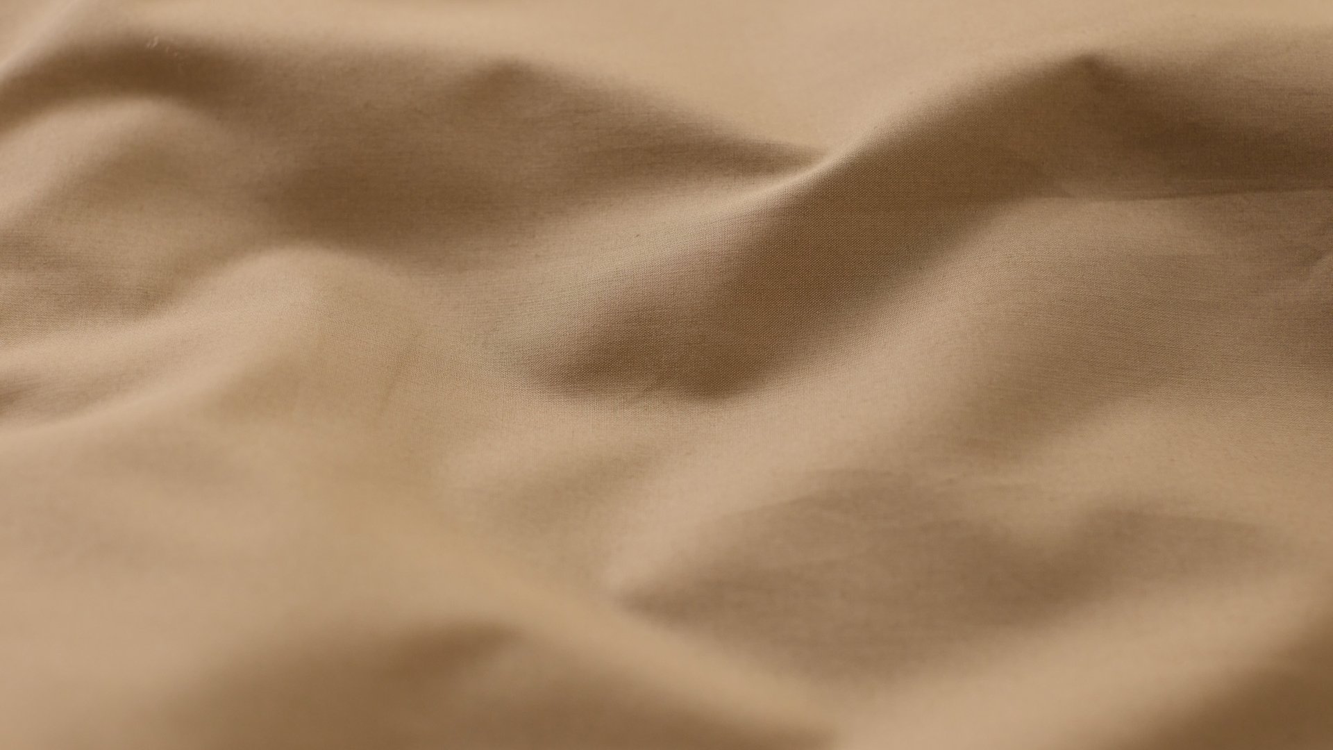 Cream_&_Beige_Percale_Gallery (8).jpg