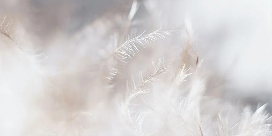 laver un oreiller en plume