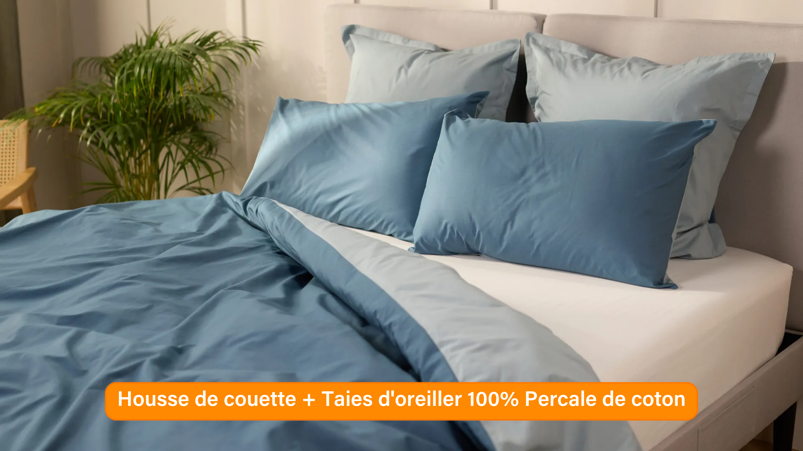 Ensemble exclusif Pré sales (2740 x 1540 px) (30).png