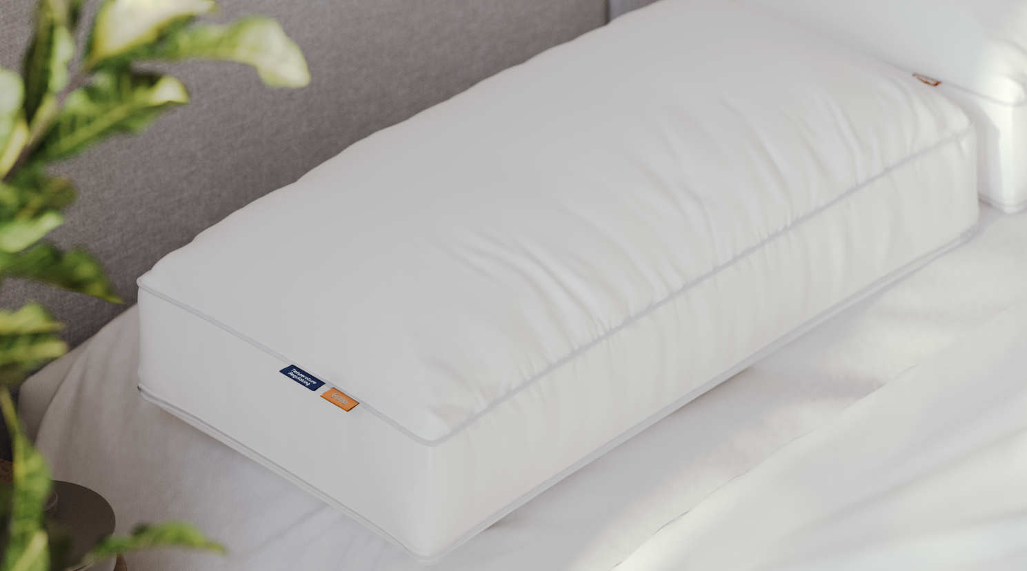 2 Premium Wolkenkussens