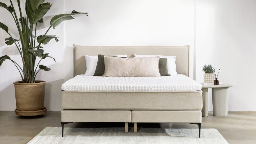 Minimalistische slaapkamer met een beige boxspring, witte lakens en drie kussens: twee groene en één beige. Links staat een grote plant met brede groene bladeren in een pot. Rechts een wit bijzettafeltje met een decoratieve plant in een witte pot en een geurverspreider met stokjes. De vloer is van beton met een licht vloerkleed.